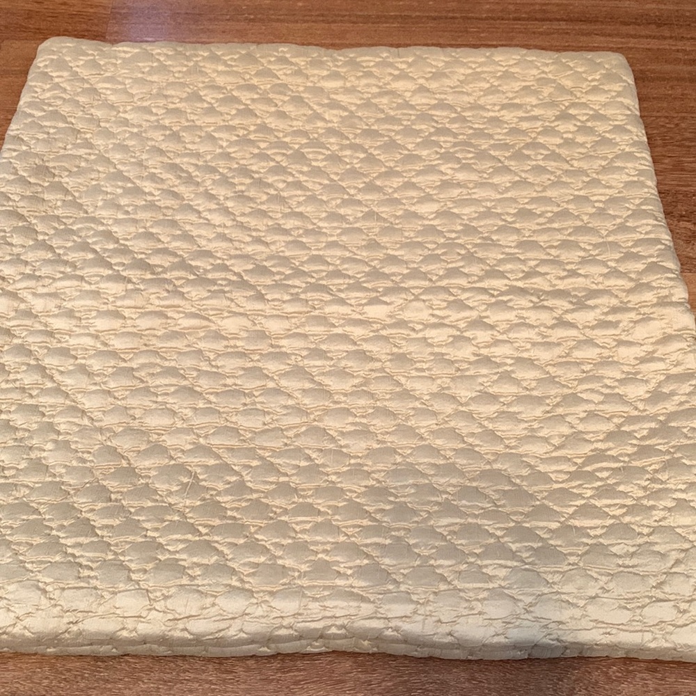 Silk Pottery Barn Accent Pillow Cover